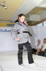 Презентация Gulliver